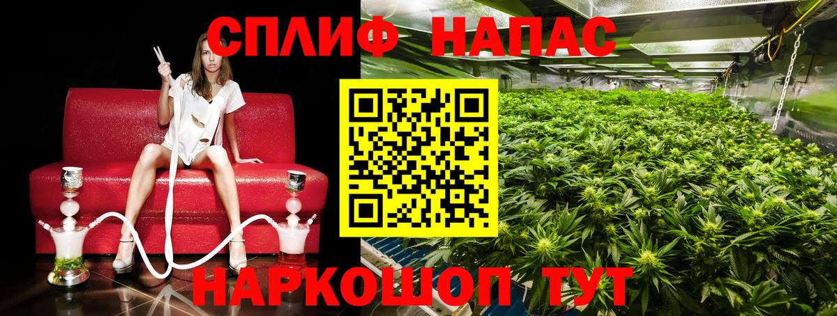 МАРИХУАНА планчик  Вход с VPN  Каннабис OG Kush  Киселёвск 